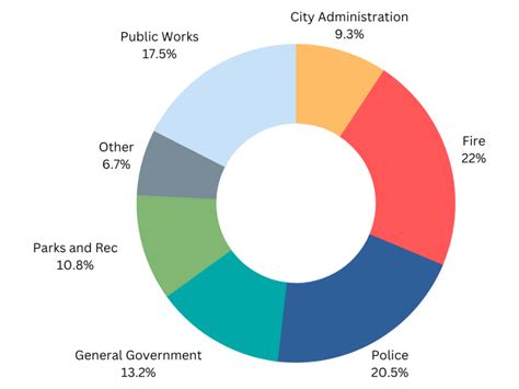 City Budget .